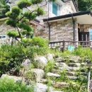 둔내농협주유소 이미지