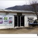 태극인 허브 이미지