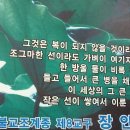 아천교회집 Daum카페