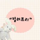 기흥스파 | 경기 용인시 기흥구 구갈동 기흥역 미용실 어디갈지...컬러프리”겨울&amp;가을웜톤 코코아 브라운 염색후기