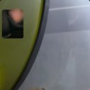 고란길(길안면) 이미지