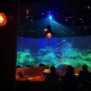 해녀의부엌 - 제주시 종달로5길 27 | 해녀의부엌