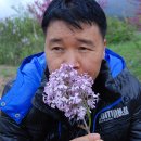 이서농장 이미지