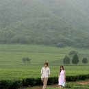 율포농장 이미지