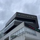 농업기술센터앞 | 보성군농업기술센터 셔플보드 팀빌딩 교육 후기: 몰입과 협력의 현장