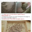 등대유기영농조합법인 이미지