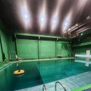 고막낚시터 | 프리다이빙 PADI 레벨2 일산 수작 첫수업 후기1 (스태틱, 다이나믹,컨트랙션)