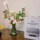 패스트포워드 | 도시락통 패스트포워드 직장인도시락통 보온도시락추천