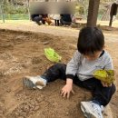 대흥동 유아숲체험원 이미지