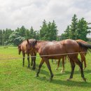 더 테쉬폰 이미지