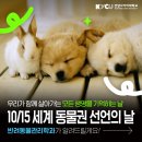 함양축산 - 거제시 고현로 98 | "10월 15일, 동물의 권리를 되새기는 소중한 시간, 건양사이버대학교 '반려동물관리학과'도 함께합니다"