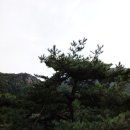 계곡사랑 이미지