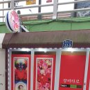 퇴근길, 타로의 매력에 빠지다 | 타로의 매력에 빠지다! 울산 성남동 장미타로 방문기