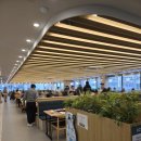 화곡역 6번출구 | [화곡역 맛집] 샤브올데이 서울화곡점 무한리필로 즐기는 프리미엄 샤브샤브 후기! 🍲🌿