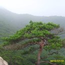 산촌가든 이미지