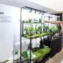 디자인하다 이미지