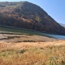 청도강변돌고래펜션 이미지