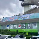 옥토끼우주센터 | 인천 강화도 아이랑 가볼만한곳｜옥토끼우주센터 당일치기 후기 🚀