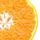 으뜸농약 | 제주 효돈 감귤 추천 고당도 노지 하우스 감귤 설 명절 과일 선물세트 후기