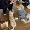 요가 민박 | 연희 | 요가 왕초보의 ‘아난다요가’ 원데이클래스 후기 (티켓팅, 수강료)