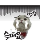 선 동물병원 이미지