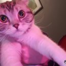 (주)뉴브리드 이미지