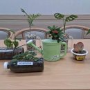 왕조1동 이미지