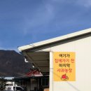 더소문난통닭 이미지