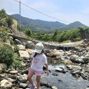 1001숲 이미지