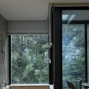 파프리카펜션B(블루동) | [영월/펜션] 숲뷰 히노끼탕에서 커플 힐링 여행 🌿_ 프레임하우스 후기