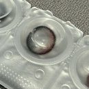 (주)오투피드 | 클라렌 블렌딩 로즈 렌즈직구 후기
