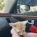 다사종합동물병원 이미지