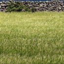 움직일 시간 이미지