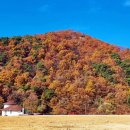 봉학골산림욕장 이미지