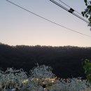 다불촌 독채민박 이미지