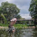 까치소 산장 옆 | 대구근교 경주 계곡 수림산장 평상 취사 및 배달후기