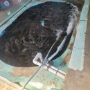 카페북한산바라보다 | 카페북한산바라보다 에서 바닐라라떼와 생강차로 겨울을 마시고 왔어요 (구파발초등수학 )