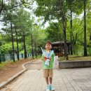 등밭유치원 이미지