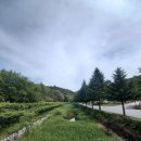 미동산수목원 이미지