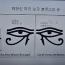 호루스에너지 이미지