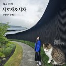 대구 칠곡 느좋카페 대형카페 시호재&시차 이용 후기