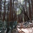 백양산 나들숲길 이미지