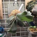 민리싸이클링 | [잠실] ZNZN Ceramic Studio / 석촌호수 도자기 공방 / 내가 만드는 부작판 클래스