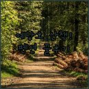 봉수산 | 비봉면 정류소 근처 걷기 좋은 길과 예당호 전망 봉수산숲펜션 예약 후기 분석