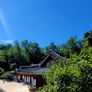 다시추는춤 함께추는 춤 | 세상을 향해 내가 추는 춤.