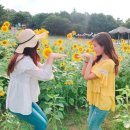해바라기사진관 - 평택시 세교로 47 | 해바라기사진관