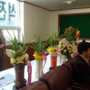 석전수석 이미지