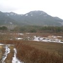 뒷동산농원 이미지