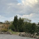 애월의언덕 민박 이미지