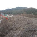 포천삼정초교 이미지